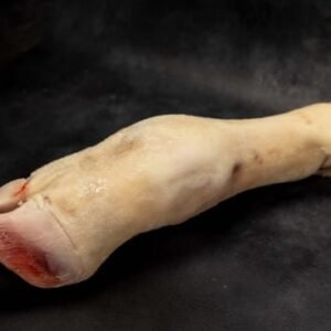 FdloaBMZexHqg9yw6NdFZayr4Y0C39 metaQmRLIEtFTUEtMzA4LmpwZw    media library original 550 367.jpg