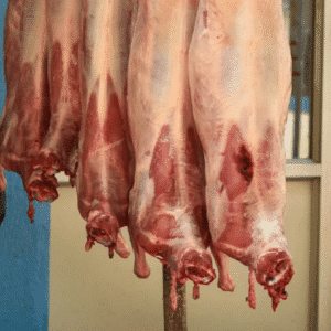 shutterstock 1616509159