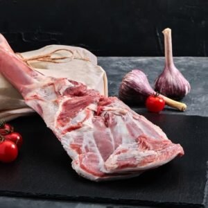 shutterstock 1753020863.jpg