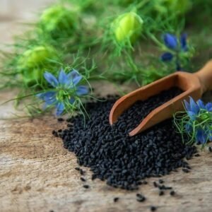 shutterstock 2069841122.jpg