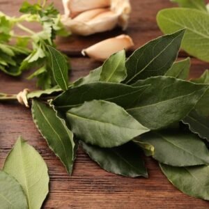 shutterstock 2341130679.jpg