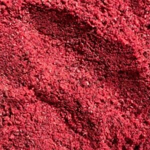 shutterstock 2488036439.jpg