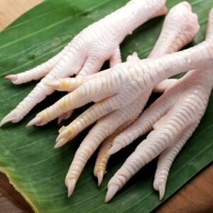 shutterstock 2524387983 1.jpg