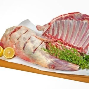 shutterstock 2555310015.jpg