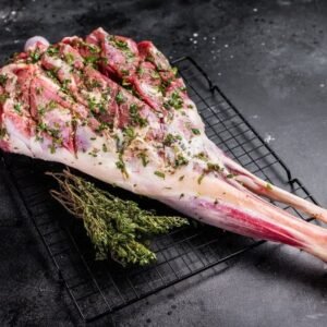 shutterstock 2576248573.jpg